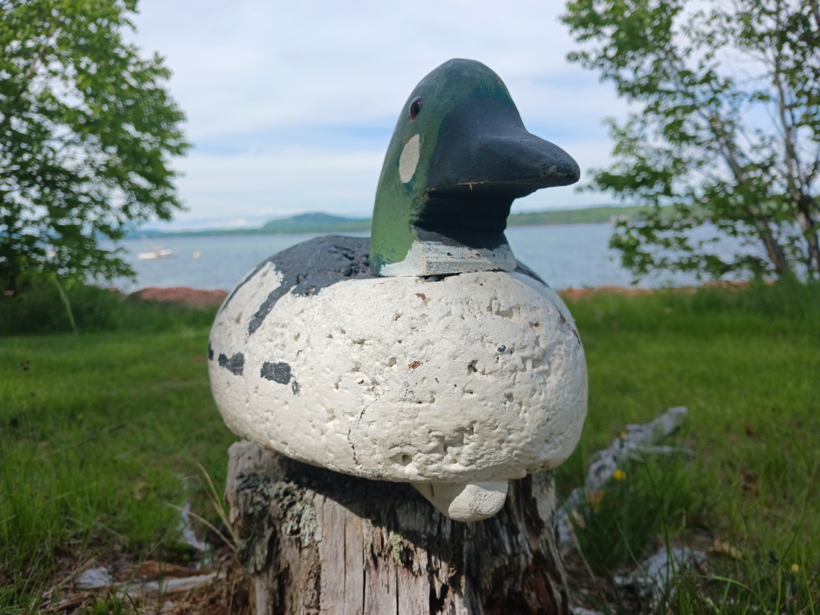Vintage Antqiue Coastal Maine Cork & Wood Goldeneye Drake Duck Decoy Hunting 16″