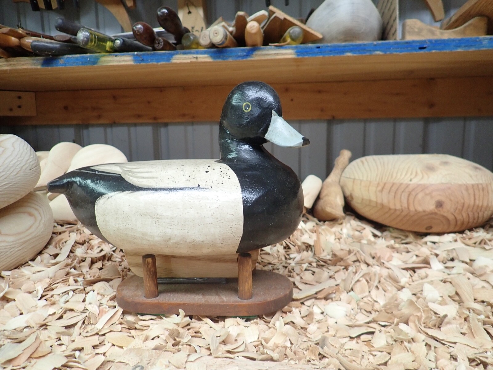 HG Decoy Millington MD Gunning Blackhead Drake Decoy