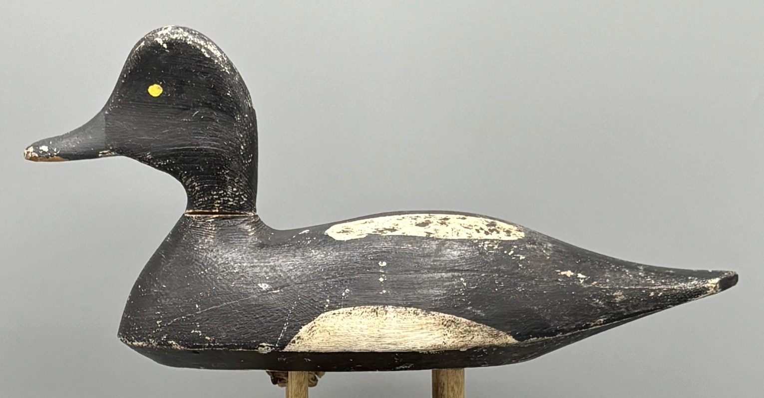 *ORIGINAL PAINT*GANANOQUE, ONT BLUEBILL DRAKE ANTIQUE DUCK DECOY *BILL HUNT (?)*