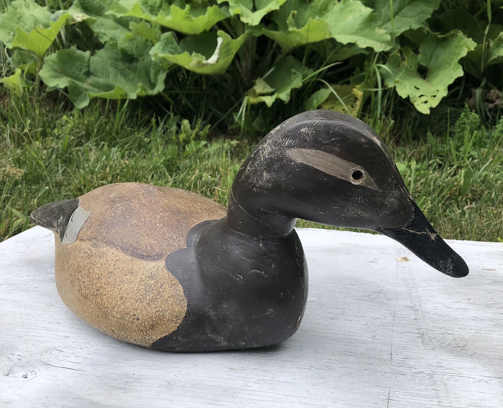 VINTAGE HEN CANVASBACK CARVED WOOD DECOY CHESAPEAKE BAY MARYLAND