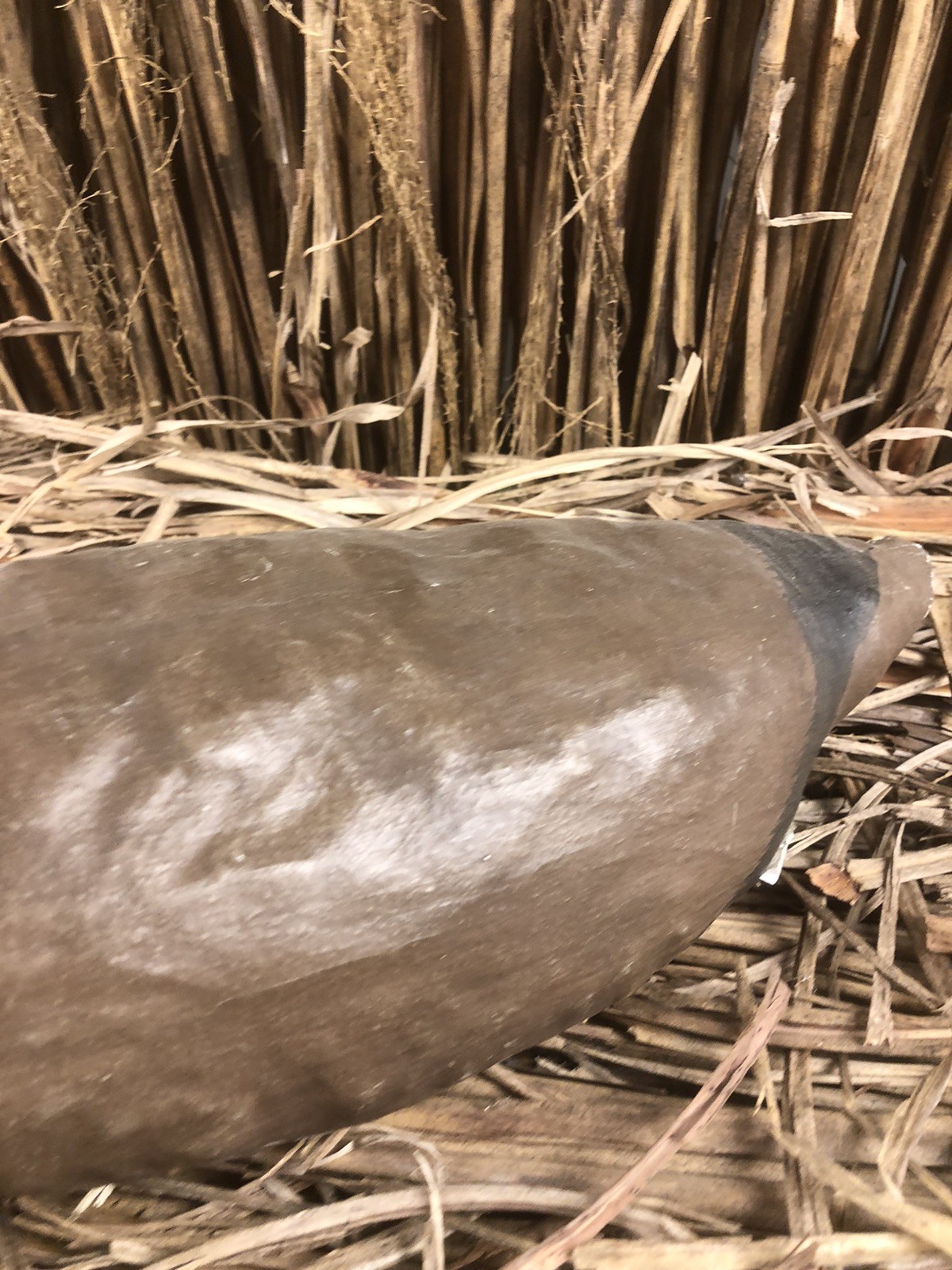 Rare Vintage Canvas Cloth Constructed Canvasback Hand Painted Duck Decoy 14in