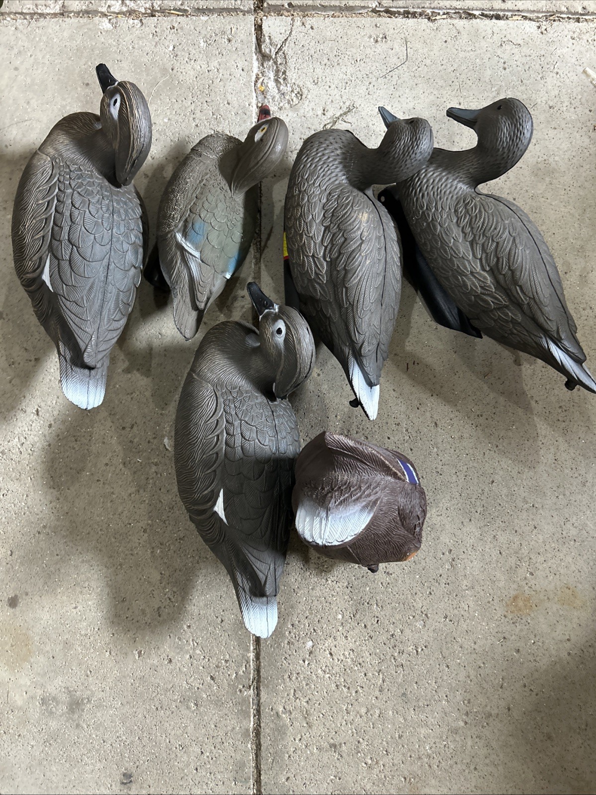 Flambeau Plastic Duck Decoys Hollow Body Mallards Make & Female Lot of 6 Vintage