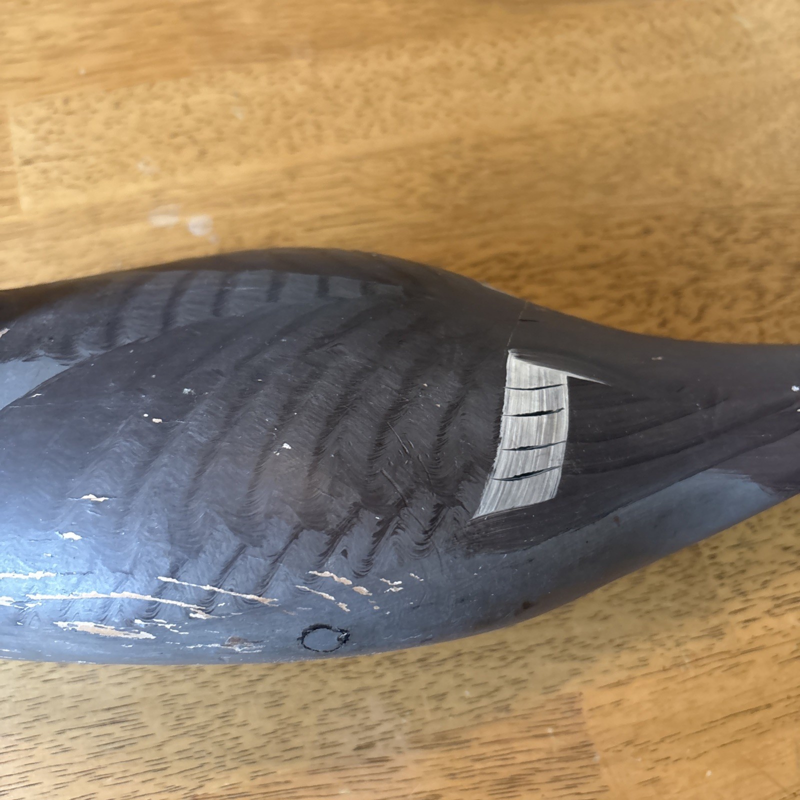 Canvasback Hen Duck Decoy Unsigned 17”