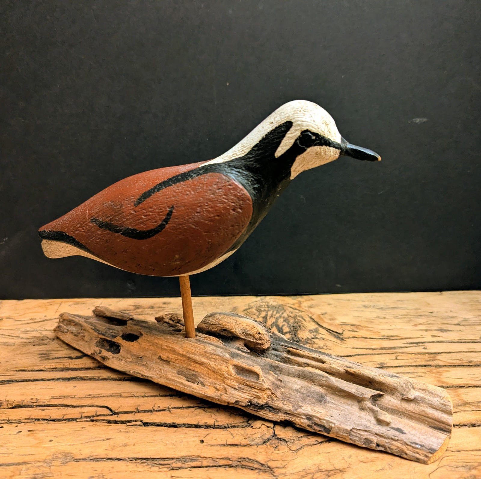 Oriental, NC Ruddy Turnstone Shorebird Decoy Dated 7/86 Split Tail, Carved Eyes
