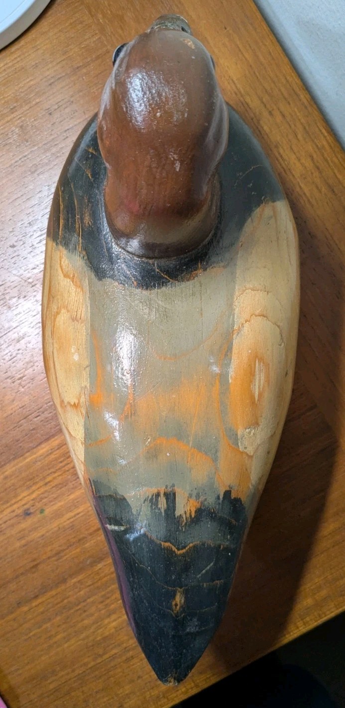 Vtg Hand Carved Charles Ross Signed Solid body Decorative Canvasback Decoy 1984
