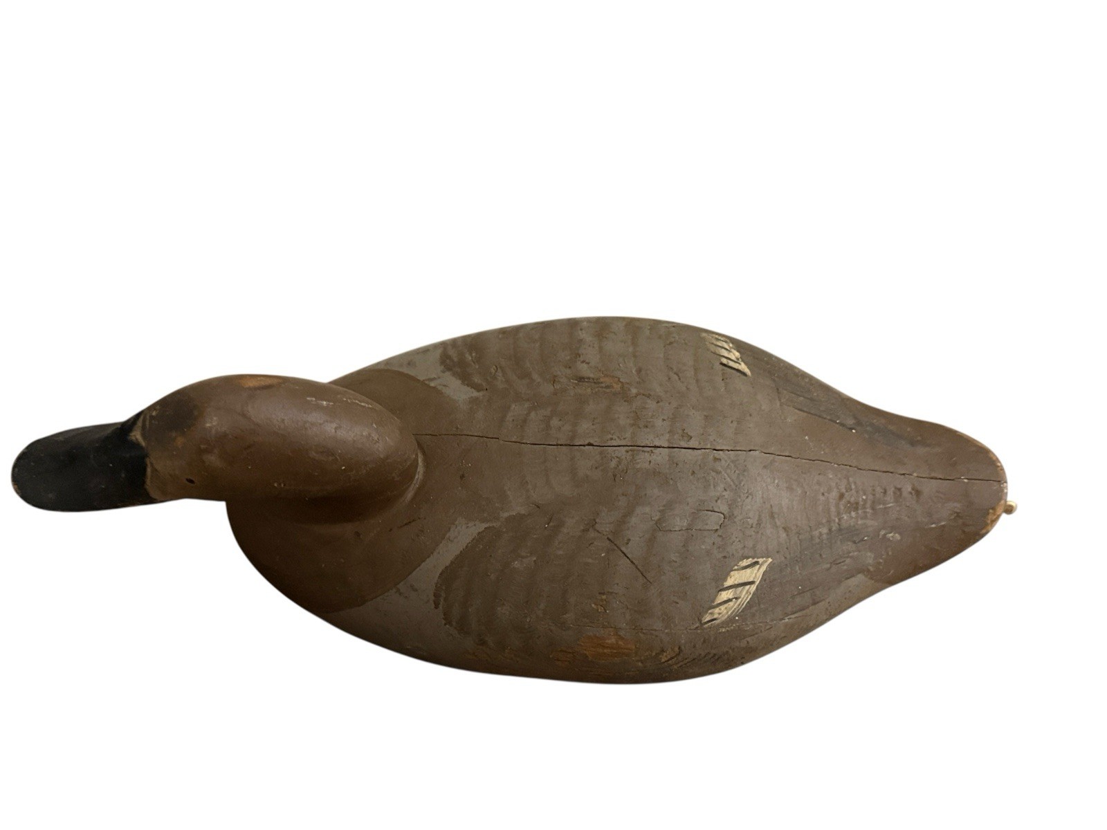 R Madison Mitchell Working Canvasback Hen Duck Decoy Havre de Grace MD Upper Bay