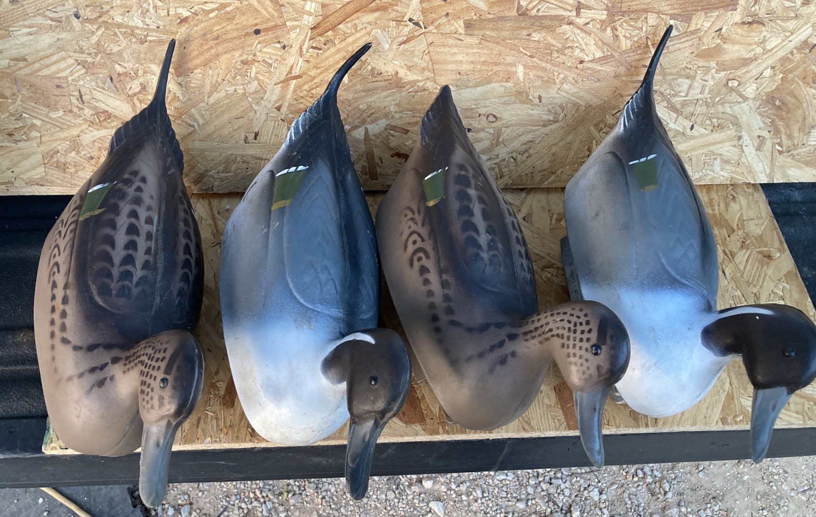 Vintage NEUMANN-BENNETT Plasti-Duk Inflatable SMOOTH PINTAIL Decoys Lot Of 4
