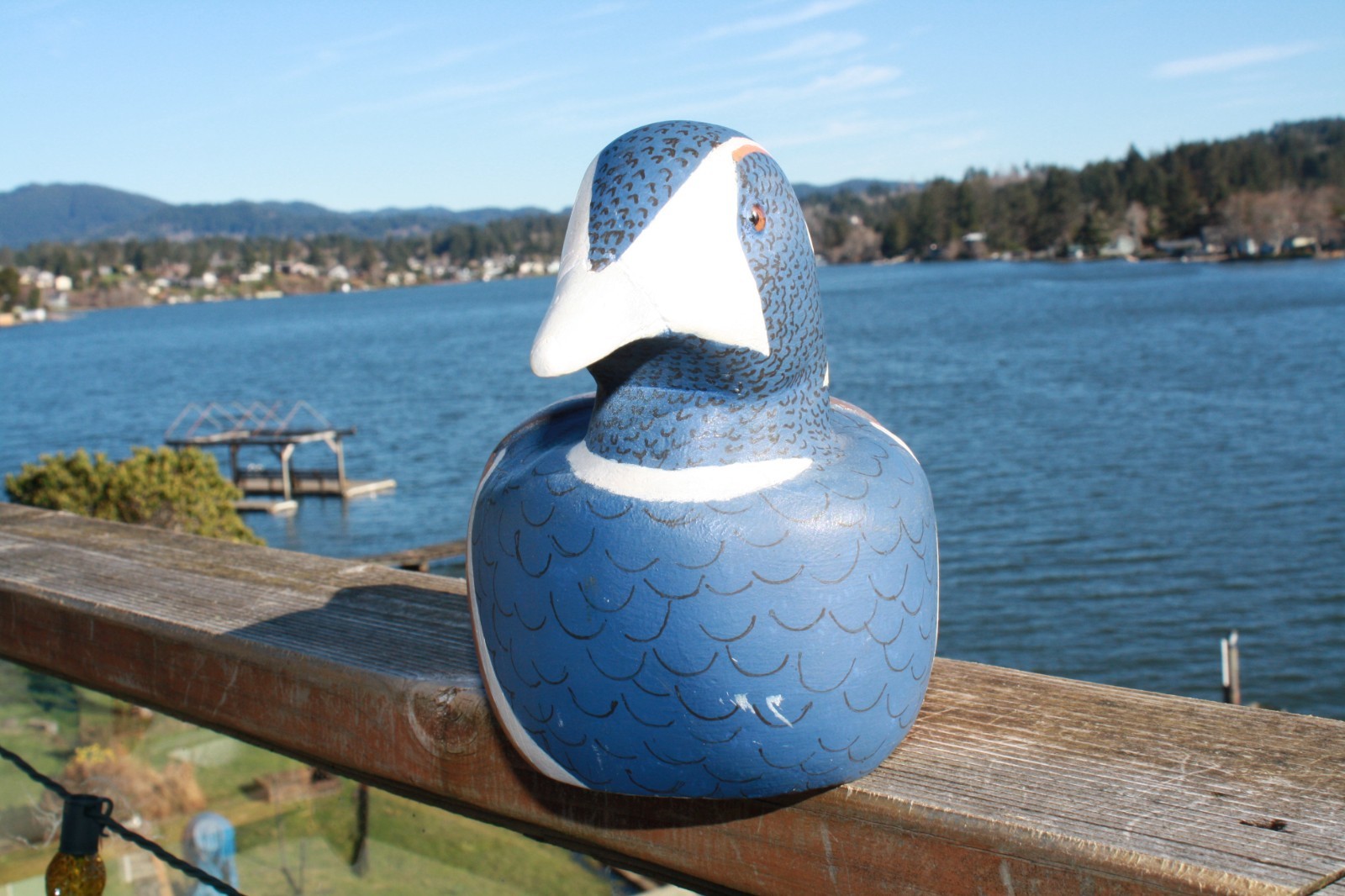 Harlequin Drake decoy by Mo Hobbs, 2006, solid wood, GE, OP.