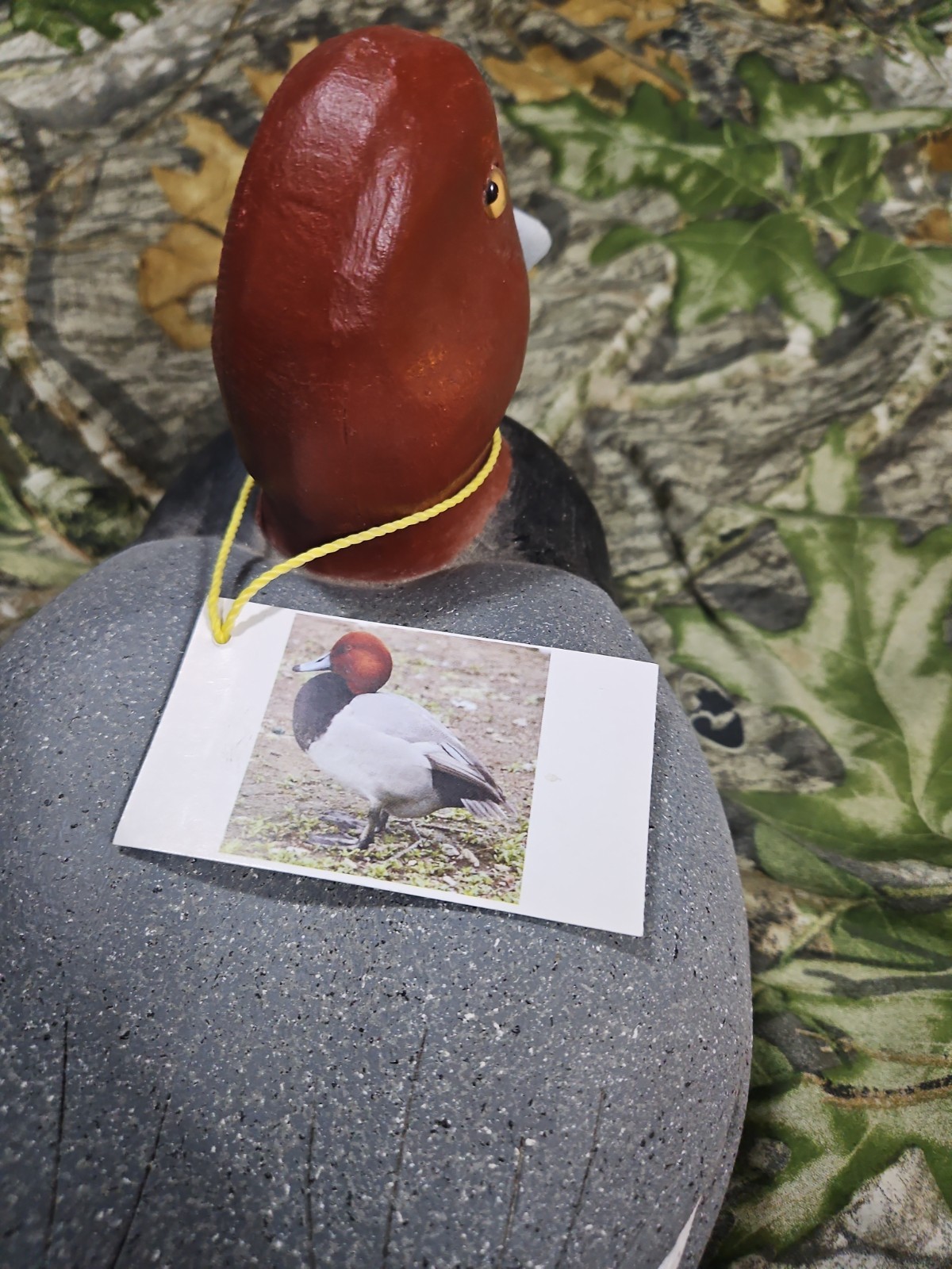 Hand Carved Redhead Duck Decoy By Bob Wilczewski – Artwork, Ducks Unlimited