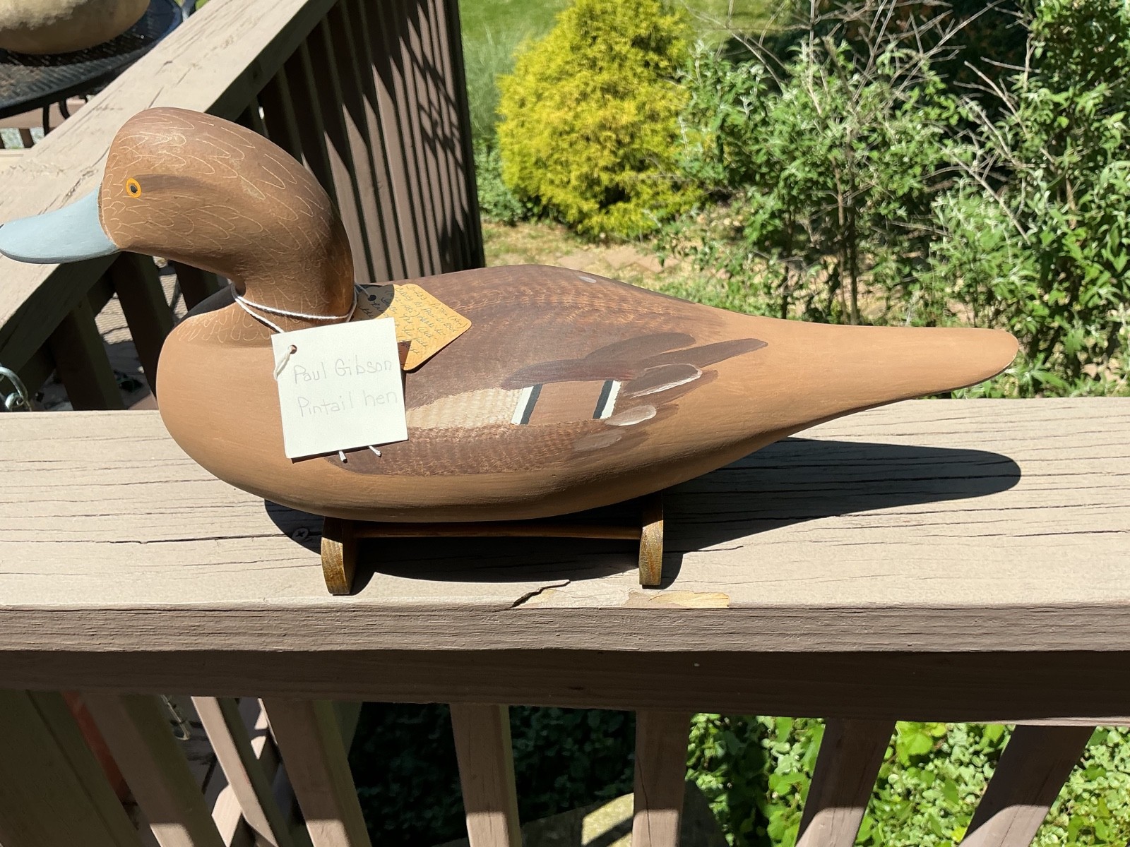 Paul Gibson pintail hen decoy