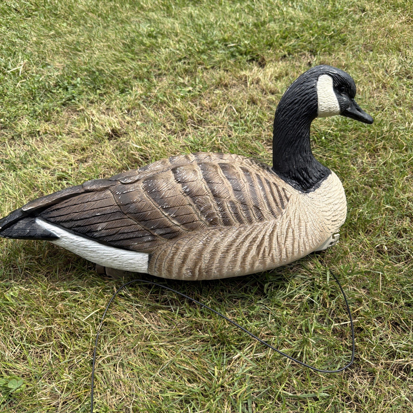 Final Approach Bird ID series Canada Goose floating decoy.