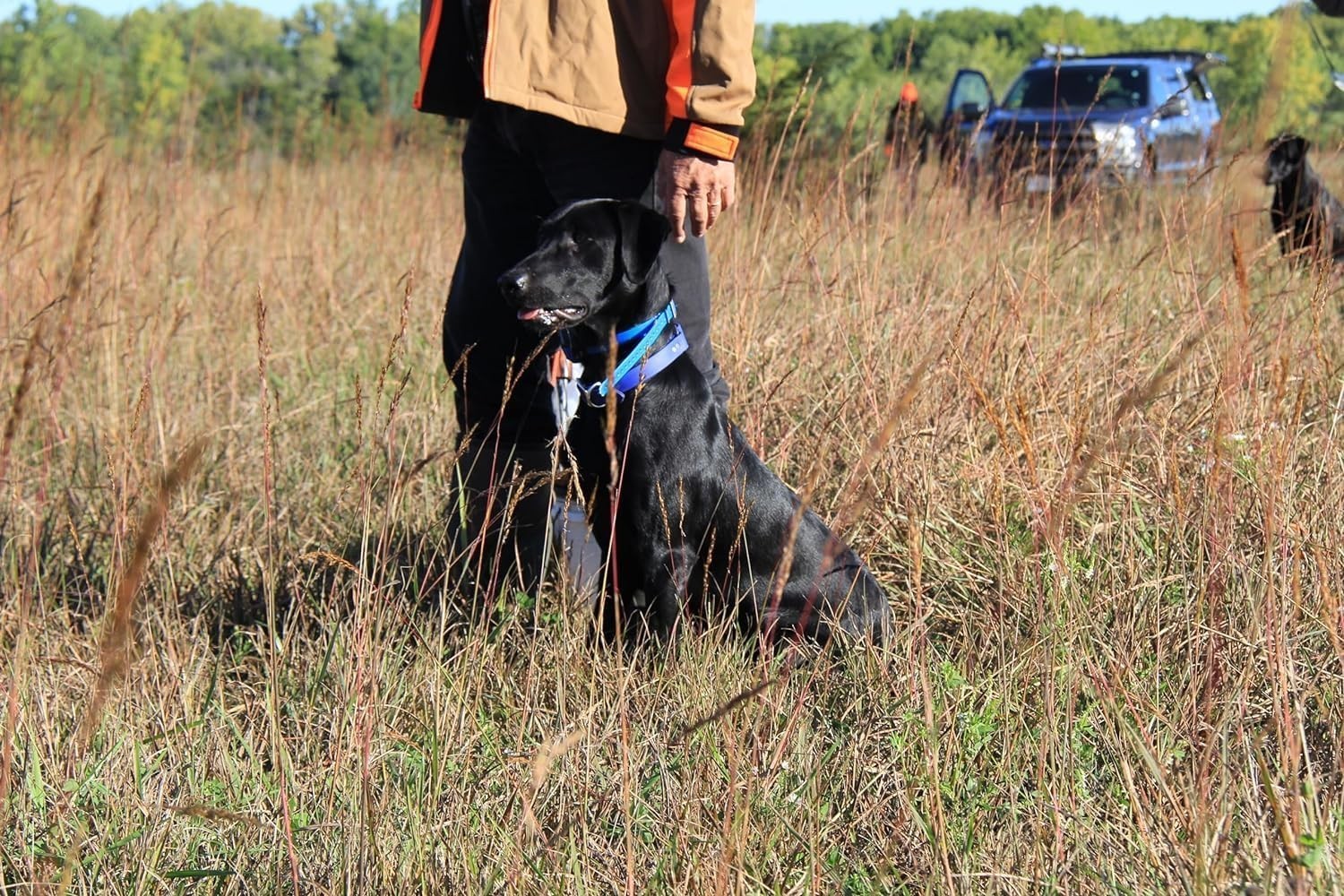 NEW! Set of 2 Ultimate Hunting Dog Training Scents and Realistic Duck Dummys