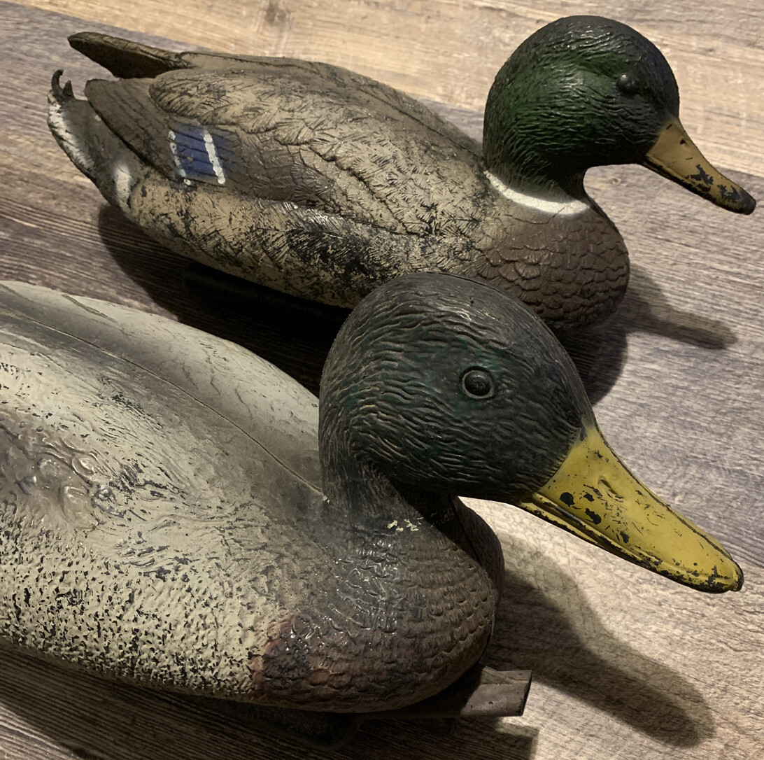 VTG Carrylite Sports Plastic Decoy Ducks Drake + Hen Made in Italy Free SH