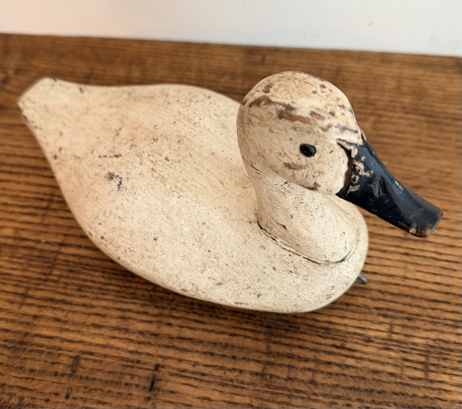 Vtg Back Bay Decoy B.B.D. Small Canvasback-Glass Eyes & Original Paint-Signed