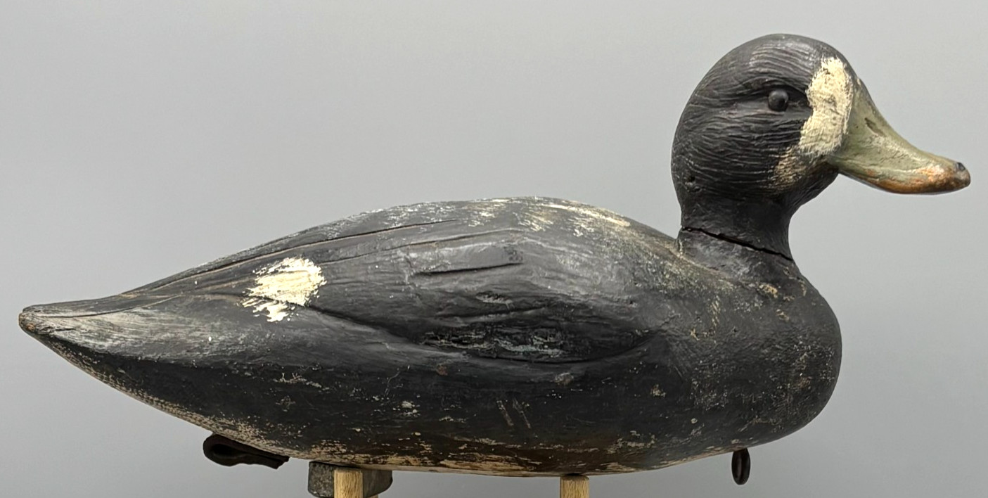 *QUEBEC* ORIGINAL PAINT *UNUSUAL* BLUEBILL ANTIQUE DUCK DECOY