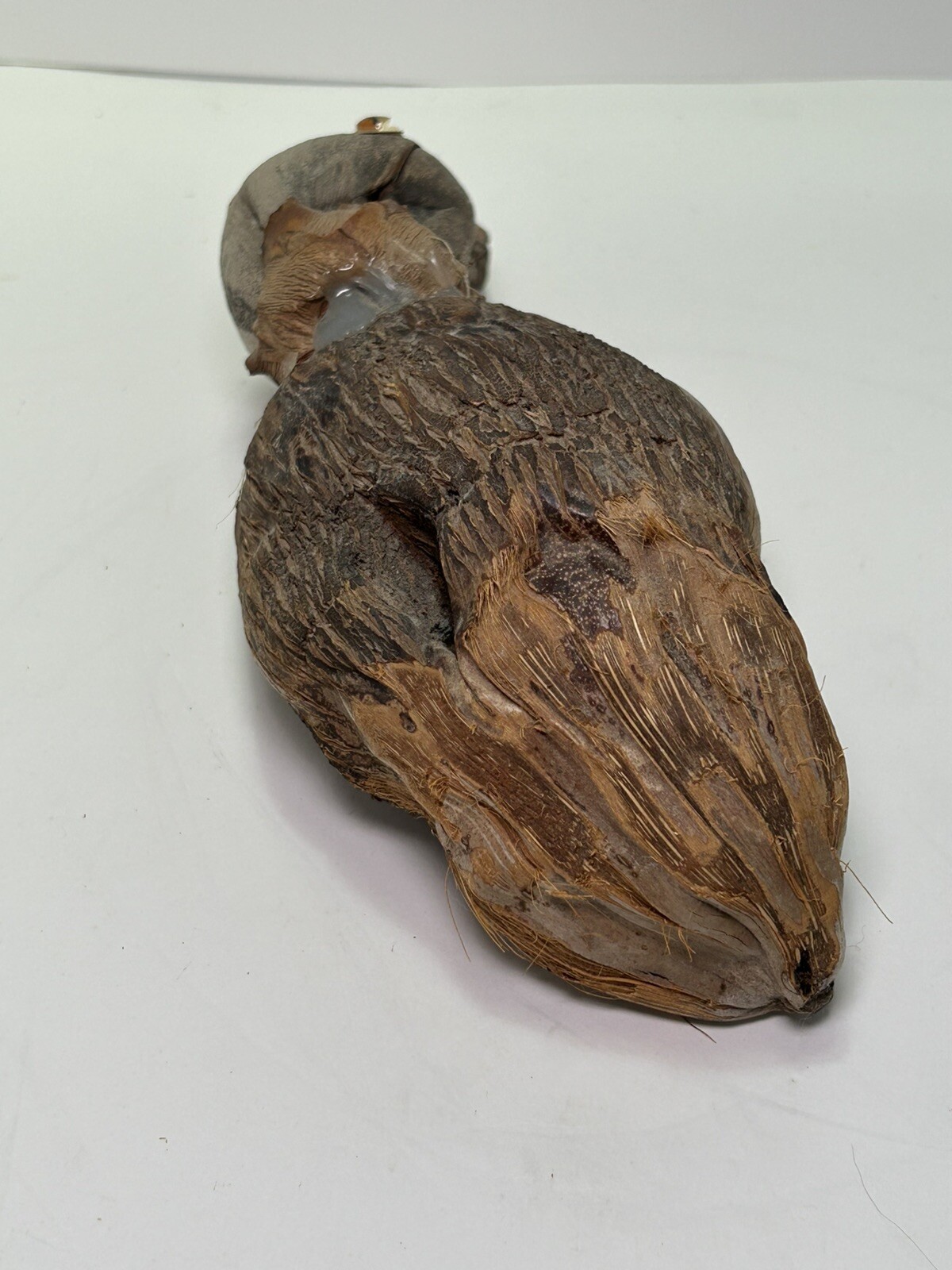 Vintage Hand Made Duck Decoy Sculpture Folk Art Coconut Rare Unique Fast Ship