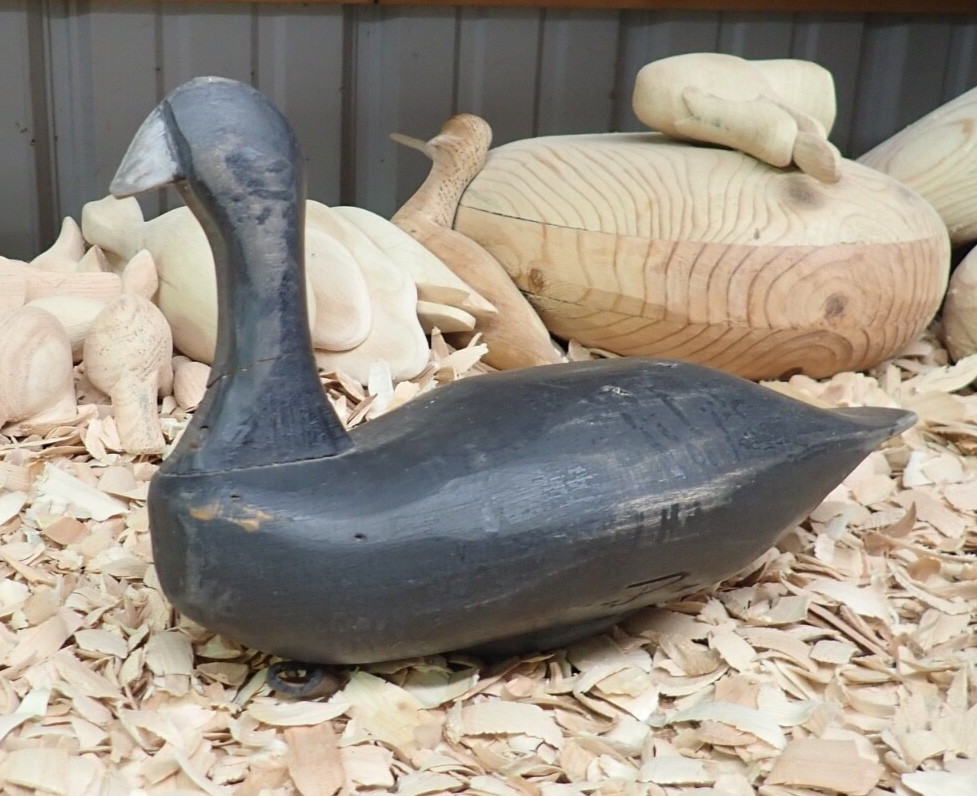 2018 Coot Decoy by Elkton Maryland Carver Joe Racine