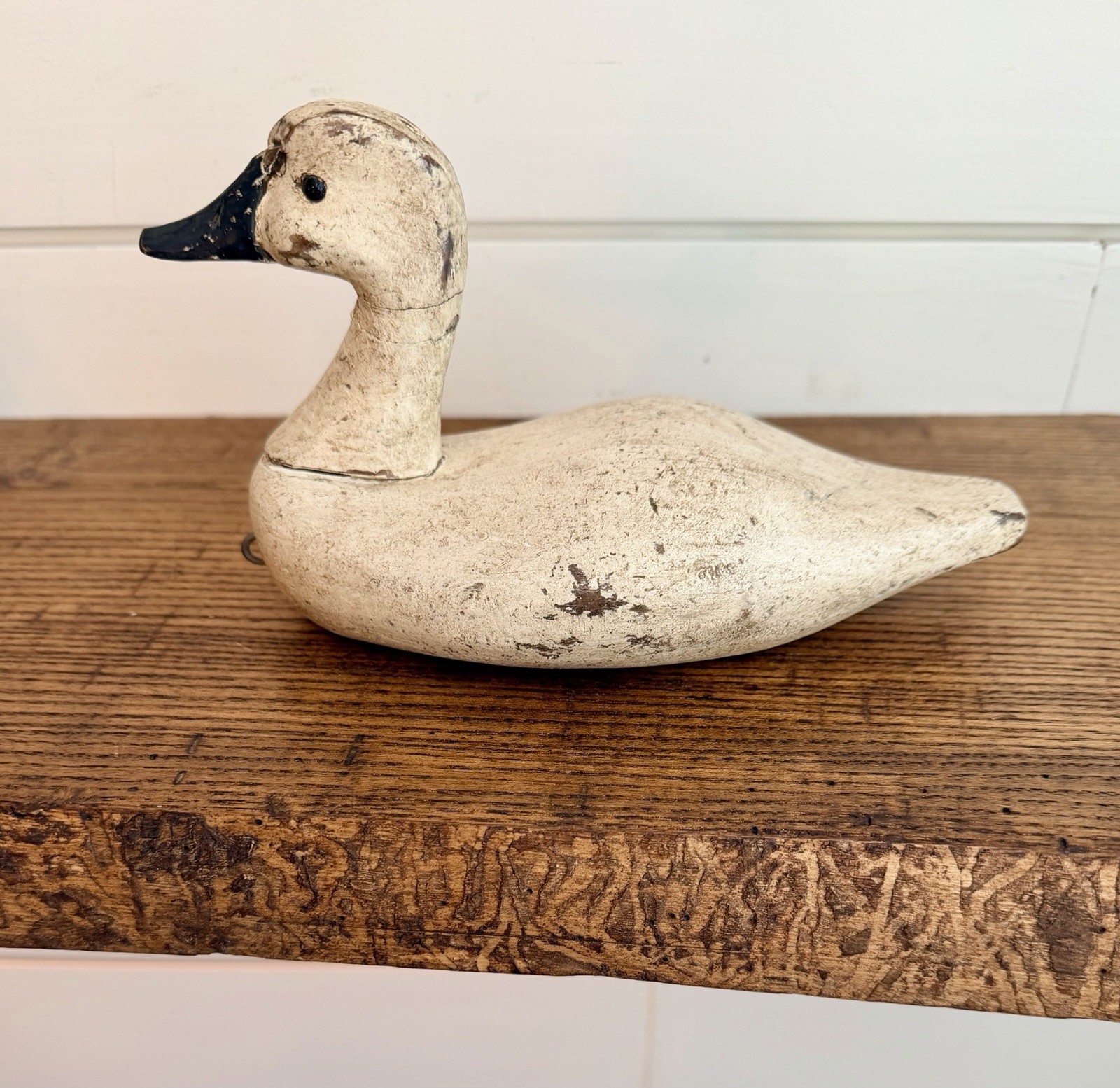 Vtg Back Bay Decoy B.B.D. Small Canvasback-Glass Eyes & Original Paint-Signed