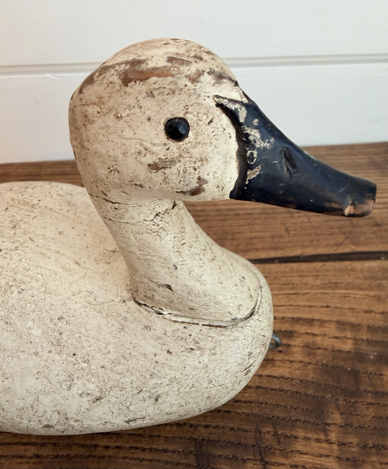 Vtg Back Bay Decoy B.B.D. Small Canvasback-Glass Eyes & Original Paint-Signed