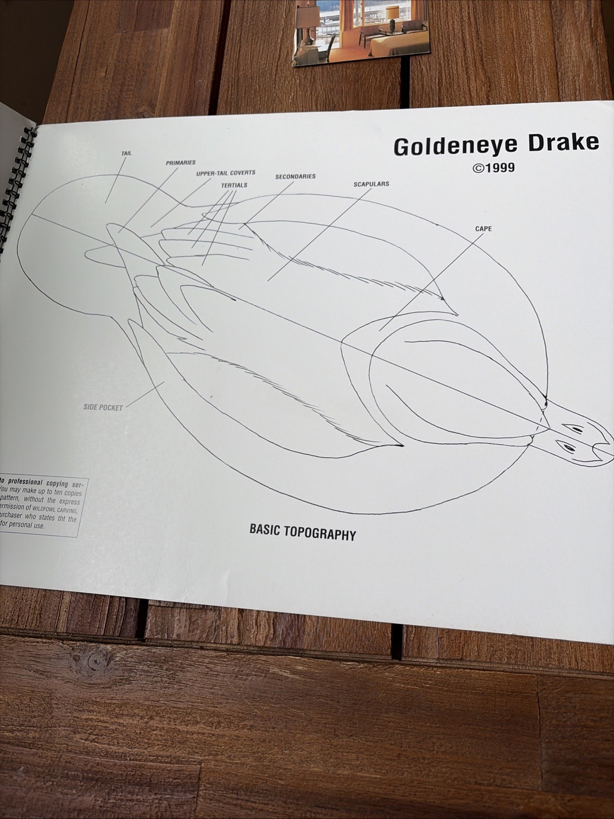 Contemporary Gunning Decoys Book