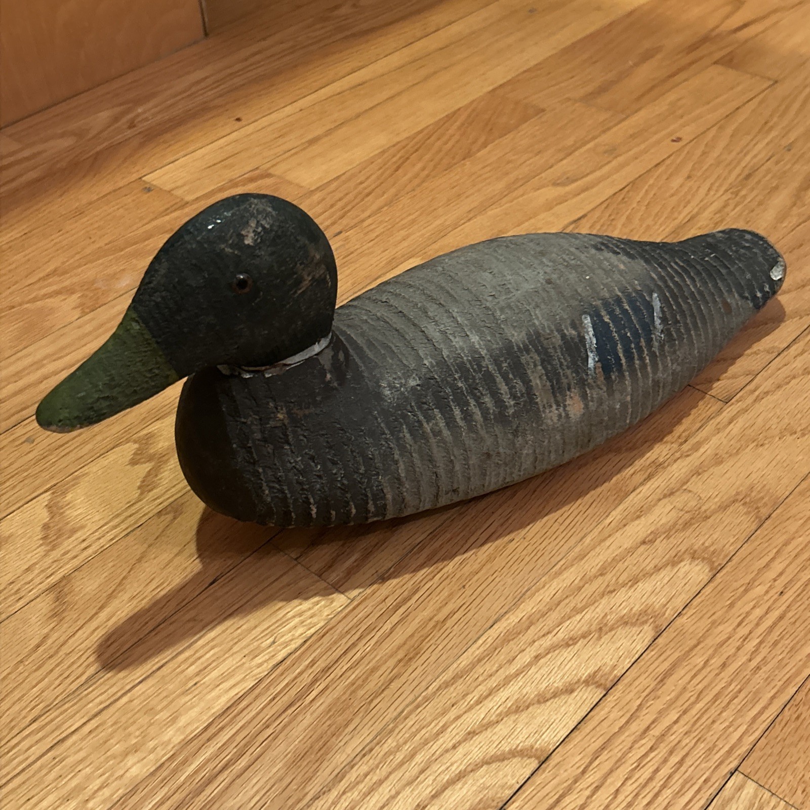 Animal Trap Victor Duck Decoy Factory Bird Duck decoy Glass eyes Vintage