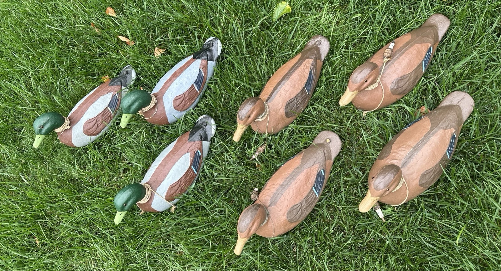 Lot Of 7 1946 Victor Veri-Lite Mallard Duck Decoy ANIMAL TRAP CO PAPER MACHE