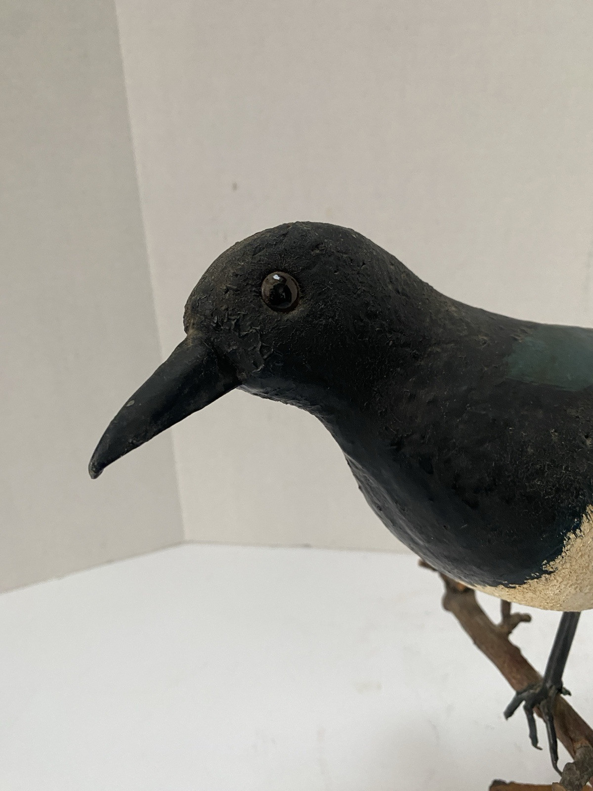 Vintage Magpie Bird Decorative Decoy, Glass Eyes, Wire Legs, Hand Painted
