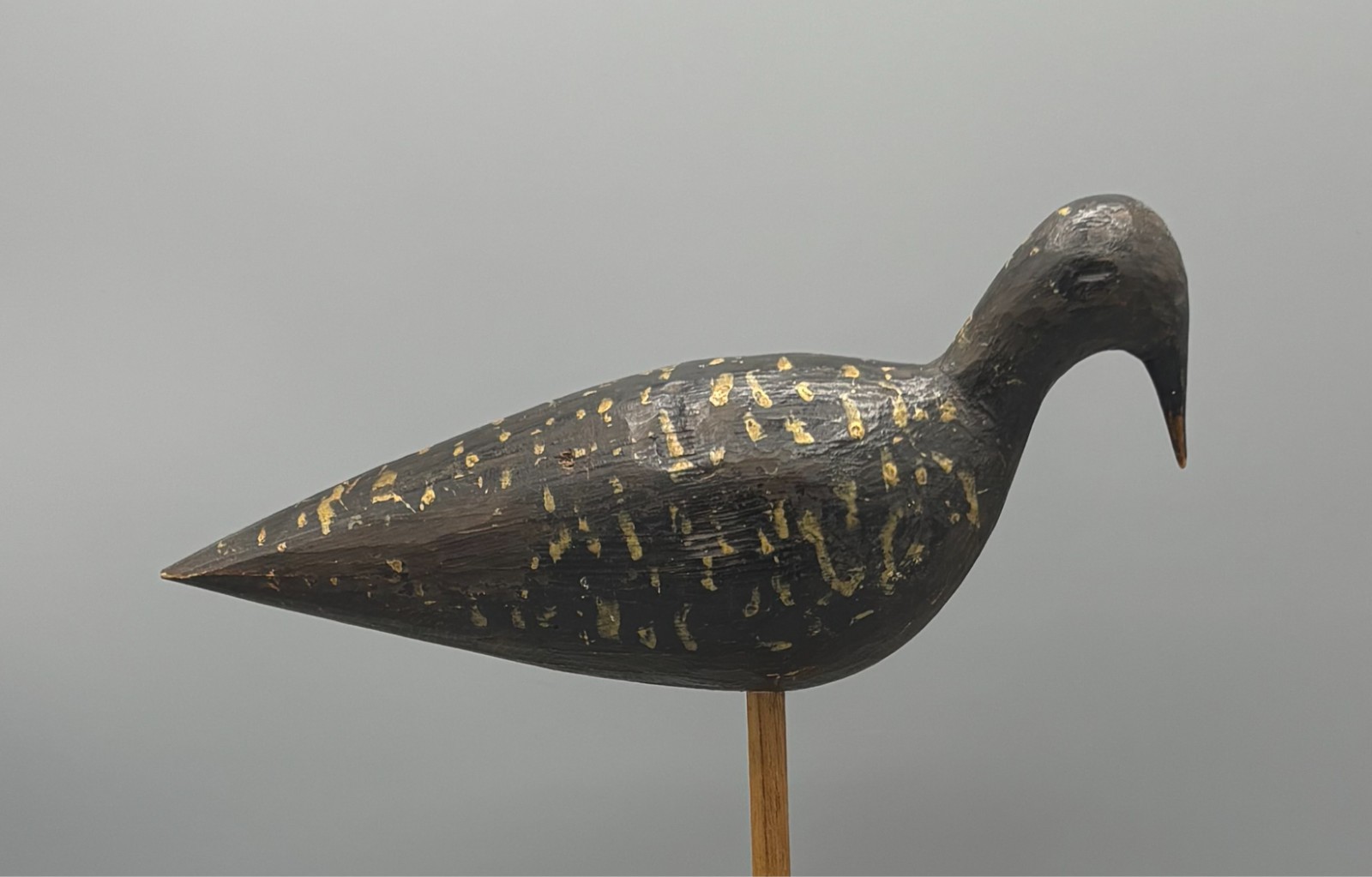 *ORIGINAL PAINT* GOLDEN PLOVER ANTIQUE SHOREBIRD DECOY *MARTHAS VINEYARD/SE MA.