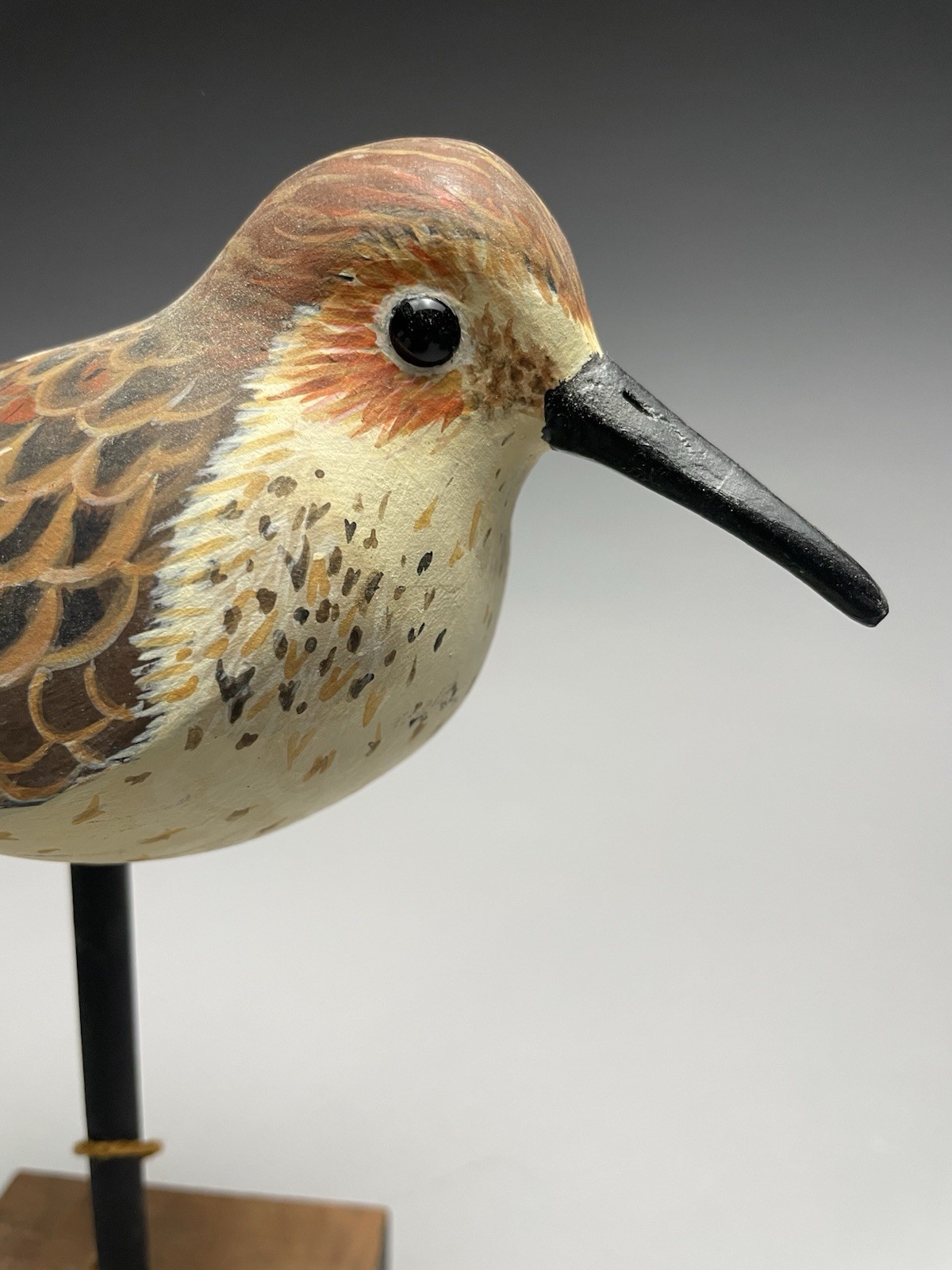 Larry Reader Western Sandpiper Hand Made Shorebird Decoy C. 2016