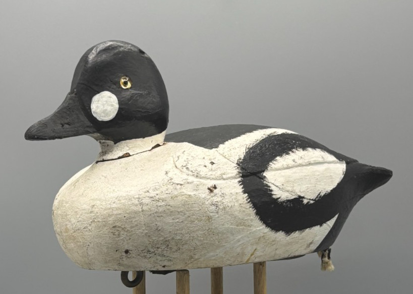 **VERDUN, QUEBEC**GOLDENEYE DRAKE VINTAGE DUCK DECOY *GLASS EYES**RAISED WINGS**