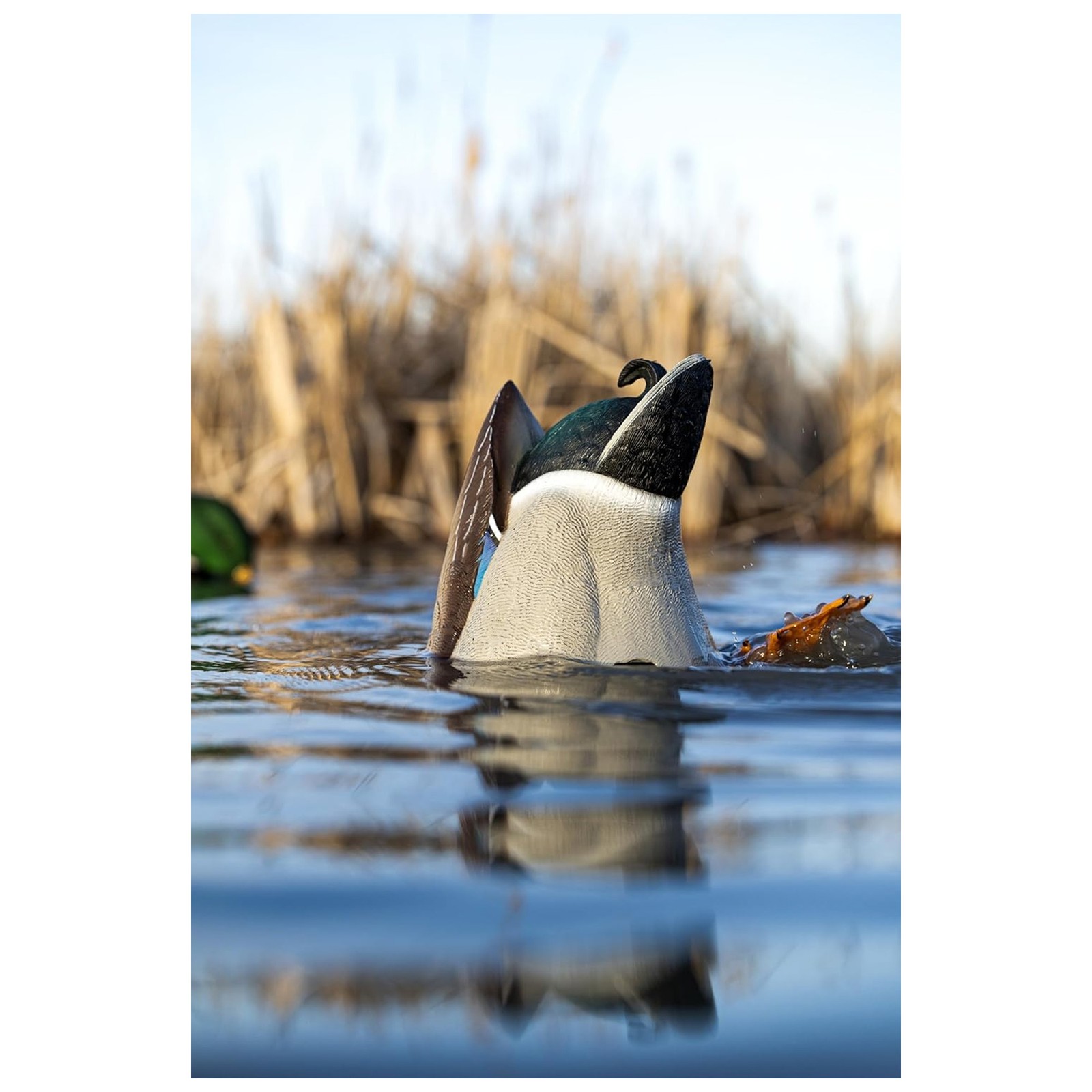 Avian-X Power Butt Kicker Drake Mallard Motion Duck Realistic Floating Decoy
