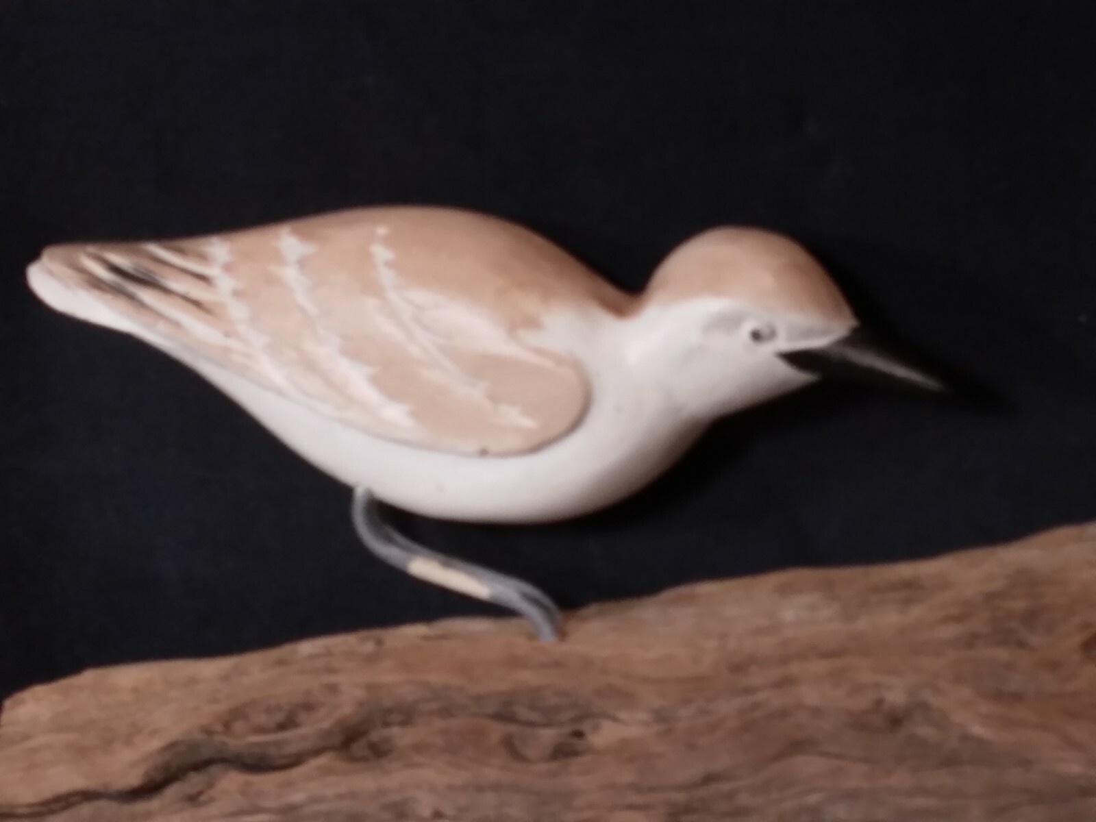 Large Sandpiper Shorebird Decoy Lazarus Paskalides Wood Carved Wall Art