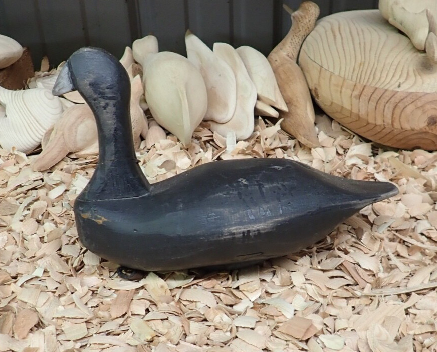 2018 Coot Decoy by Elkton Maryland Carver Joe Racine