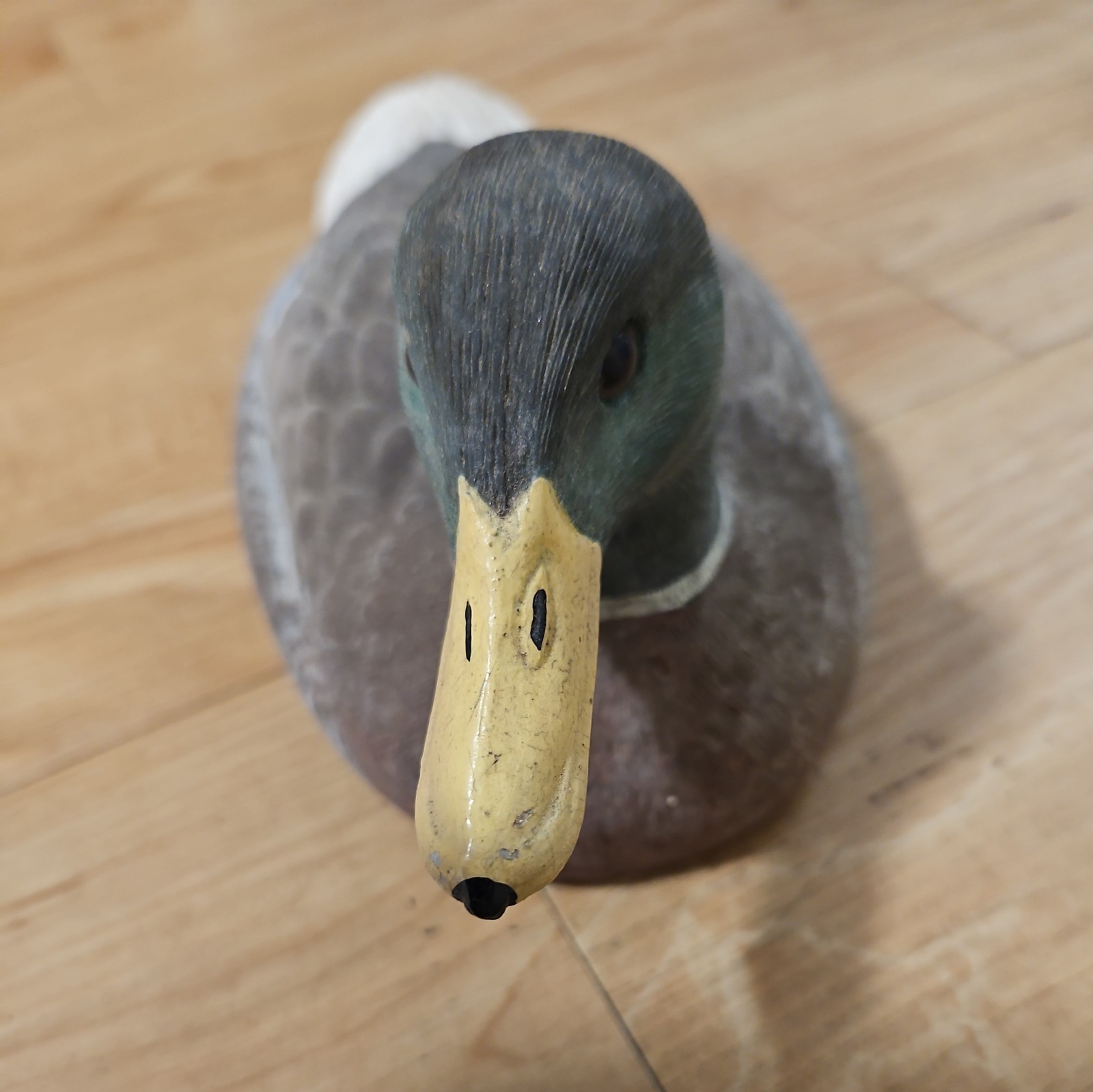 Vintage Mallard Drake Duck Decoy Hand Carved And Painted Signed
