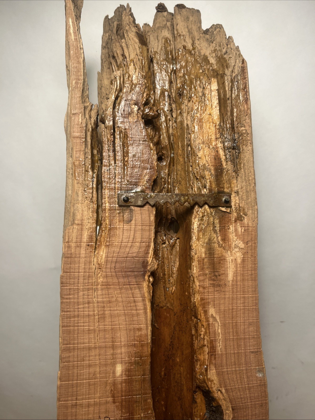 flicker woodpecker wall hanging mount decoy hand carved folk art