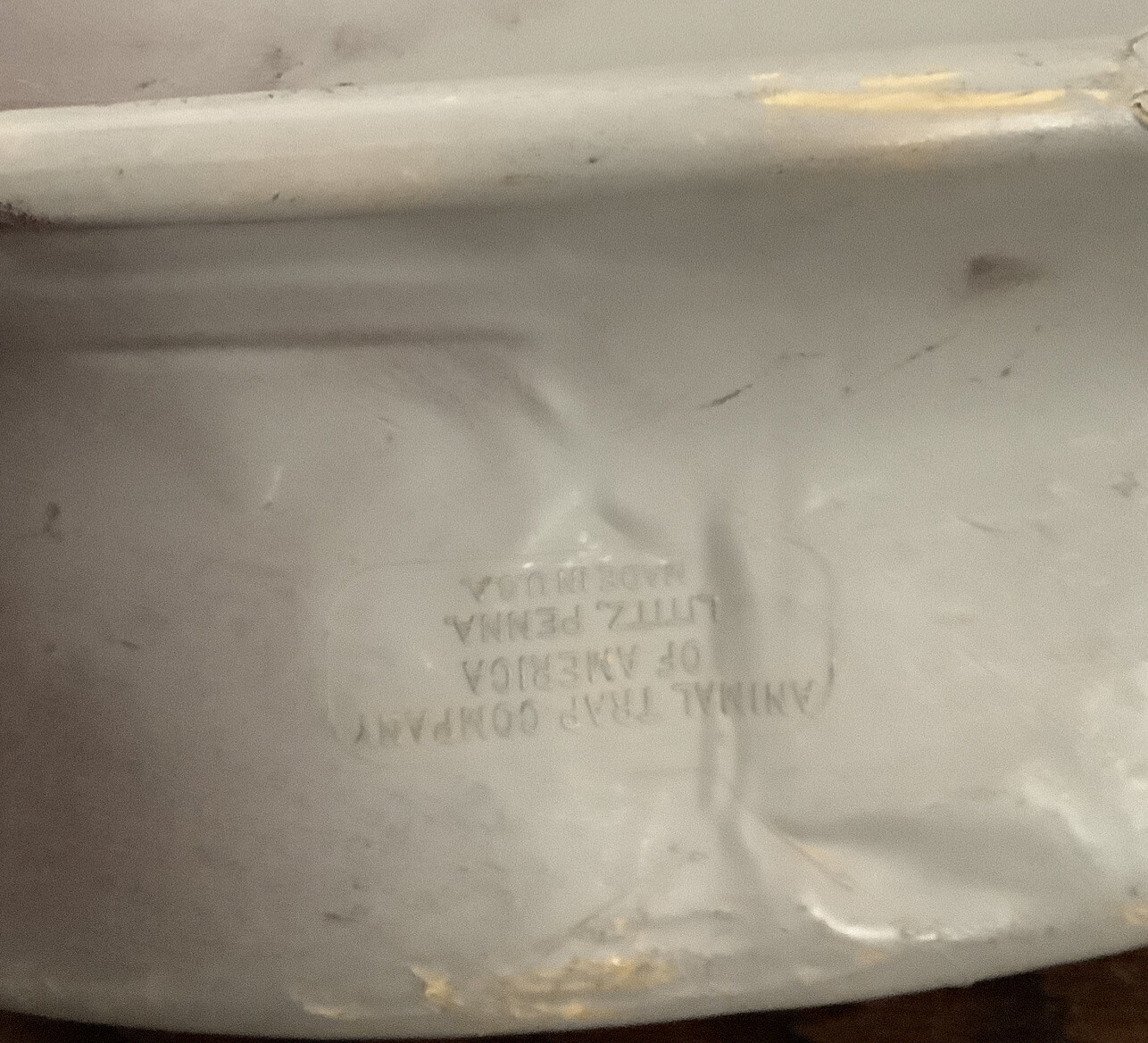 Duck Decoy Victor Animal Trap Company Water Fowl Mallard D-11 Old Vintage Hunt