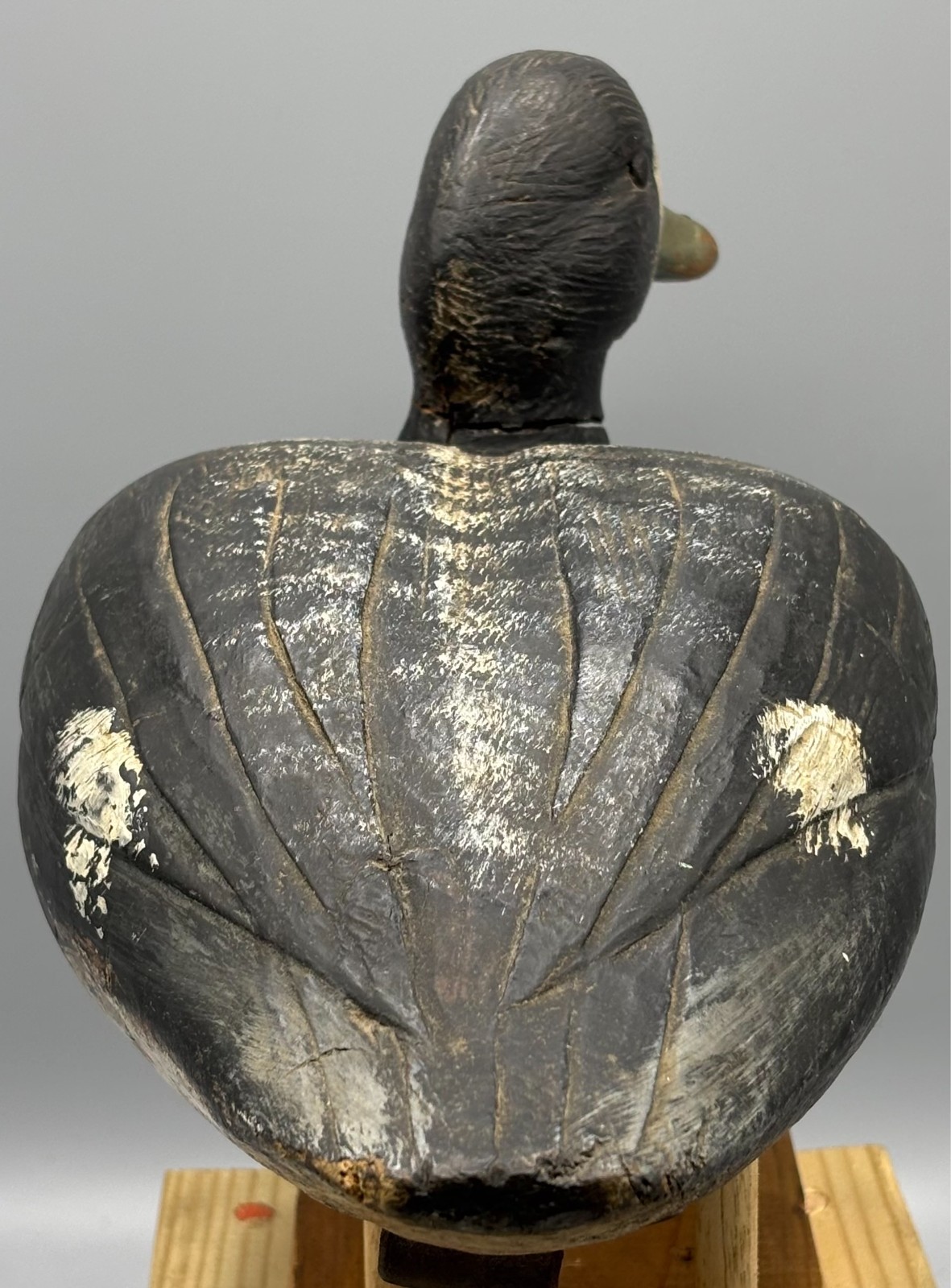 *QUEBEC* ORIGINAL PAINT *UNUSUAL* BLUEBILL ANTIQUE DUCK DECOY