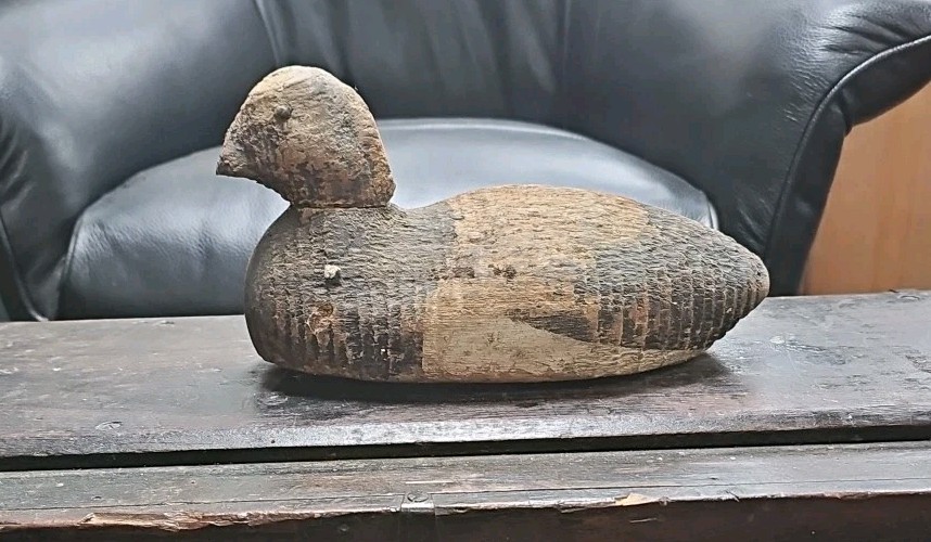 Victor Bluebill Duck Decoy