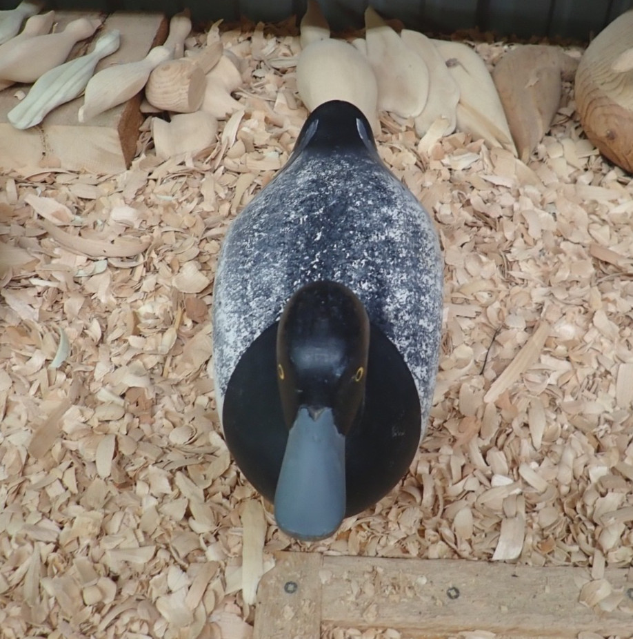 Charlie Bryan Middle River Maryland Blue Bill Drake Gunning Decoy