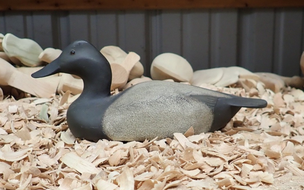 2017 Canvasback Hen Decoy by Rick Moretz of Havre de Grace MD