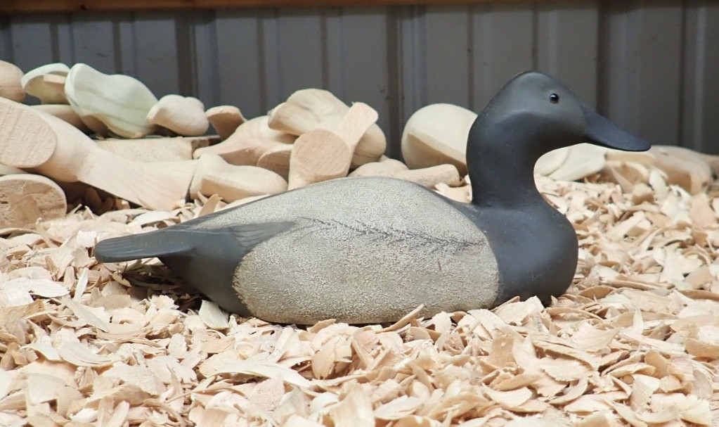 2017 Canvasback Hen Decoy by Rick Moretz of Havre de Grace MD
