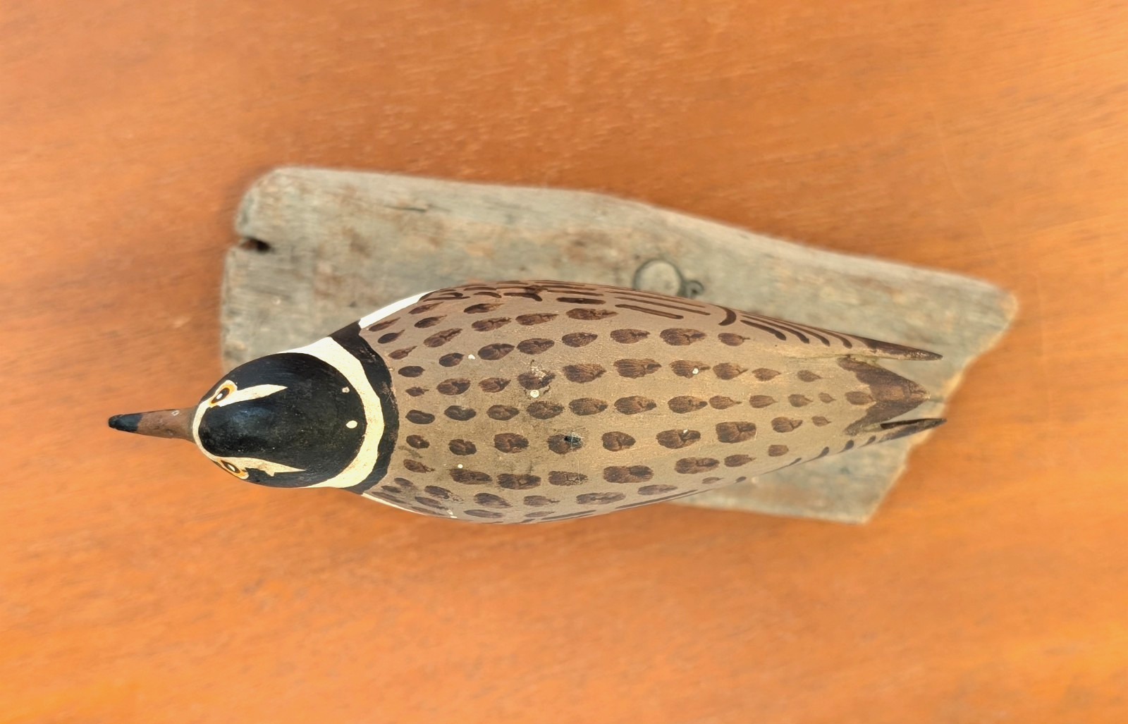 VTG Hand Carved Wood Shore Bird Decoy Semipalmated Plover Signed John Day