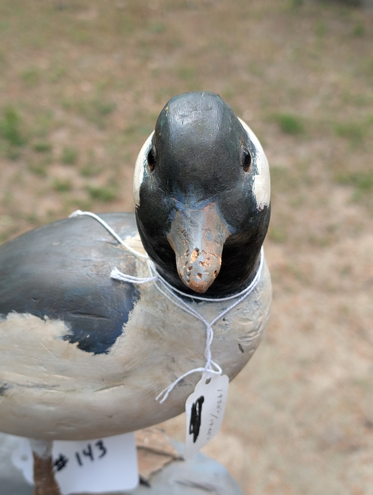 VINTAGE CARVED WOODEN HUNTING DUCK DECOY FOR SALE #143 BUFFLEHEAD WEST BRANCH