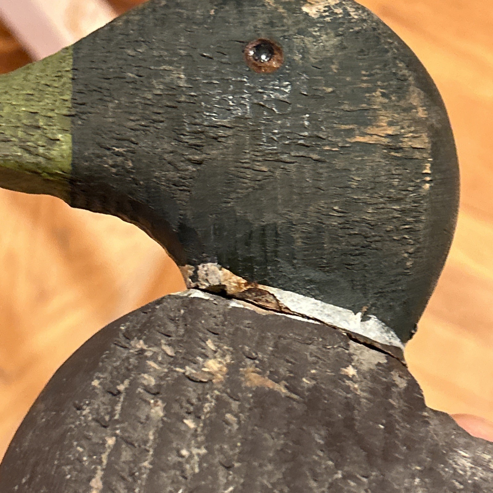 Animal Trap Victor Duck Decoy Factory Bird Duck decoy Glass eyes Vintage