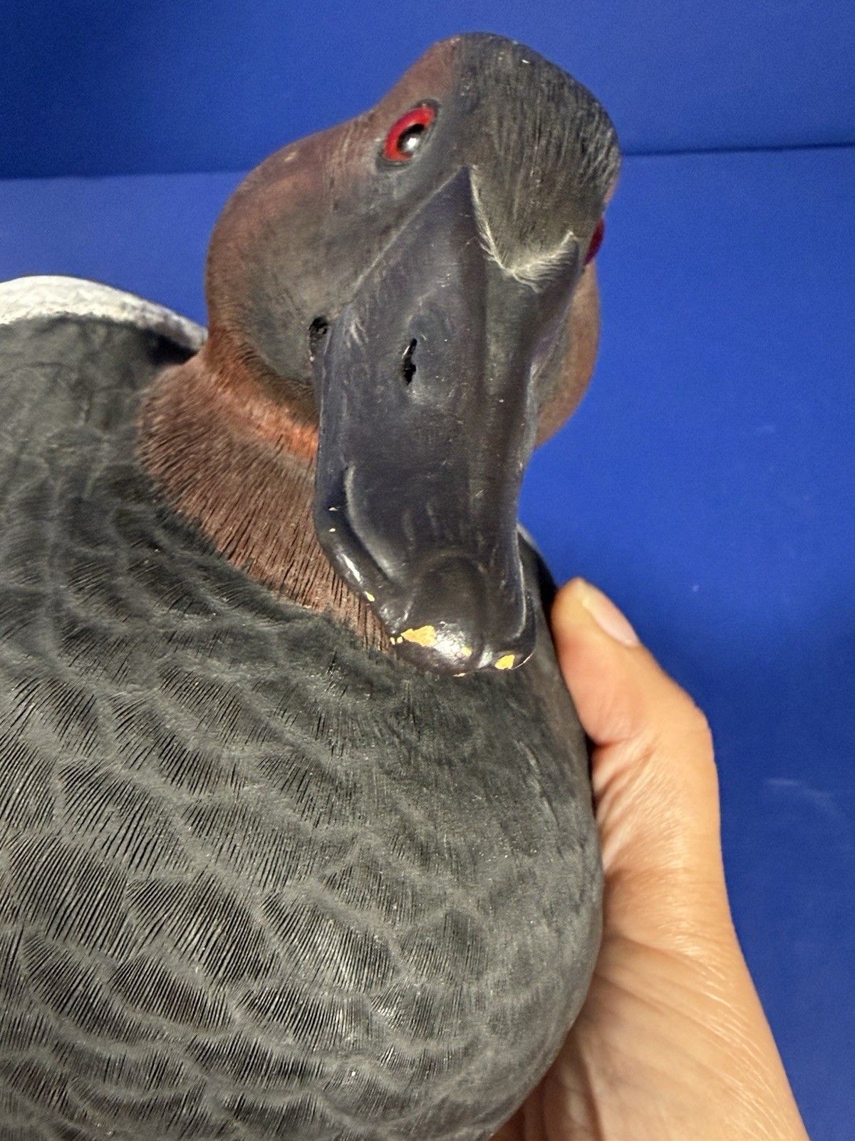RA Meredith Canvasback Drake Wood Decoy Duck – Signed & Dated 1986 – 11.5” Long