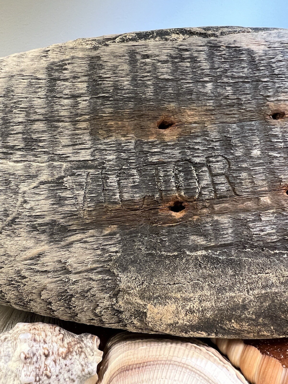 Victor Wooden Decoy -Glass Eyes.
