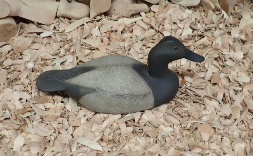 2017 Canvasback Hen Decoy by Rick Moretz of Havre de Grace MD
