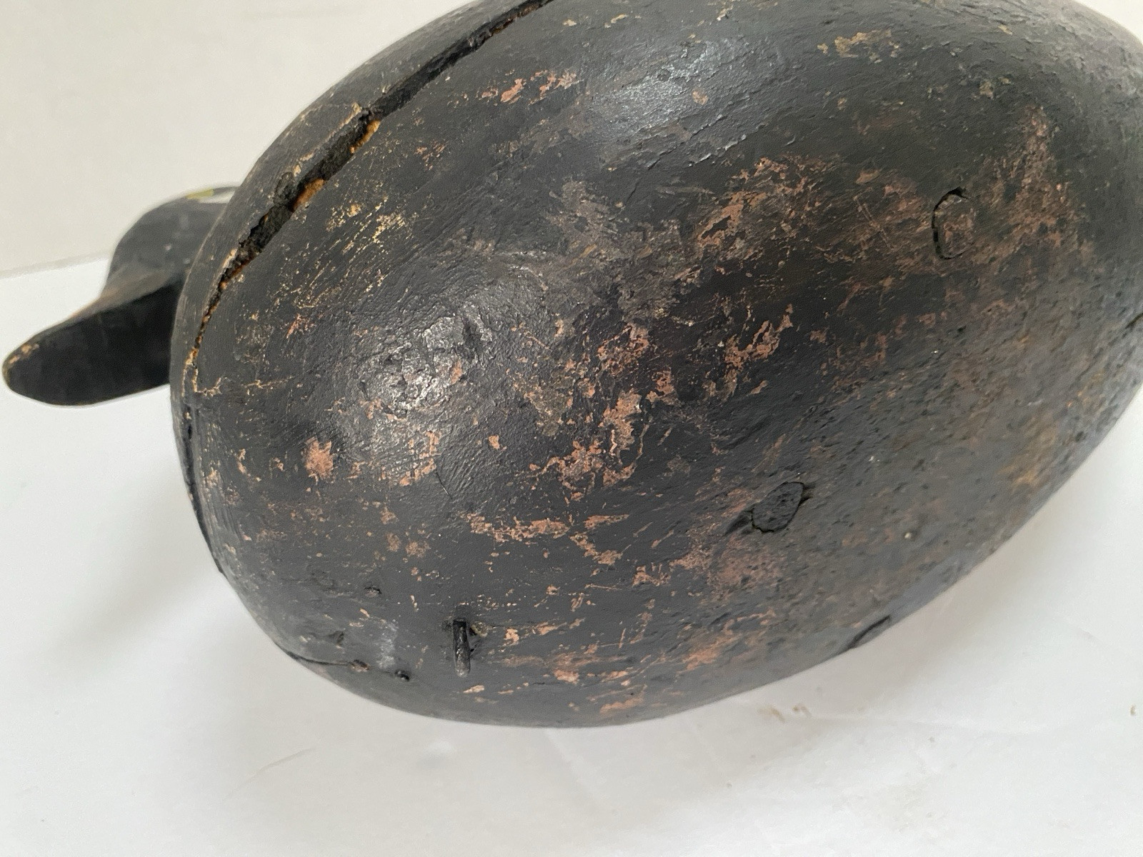 White-winged Scoter Duck Decoy, Vintage, Wood, Nailed in Head Set, Unsigned