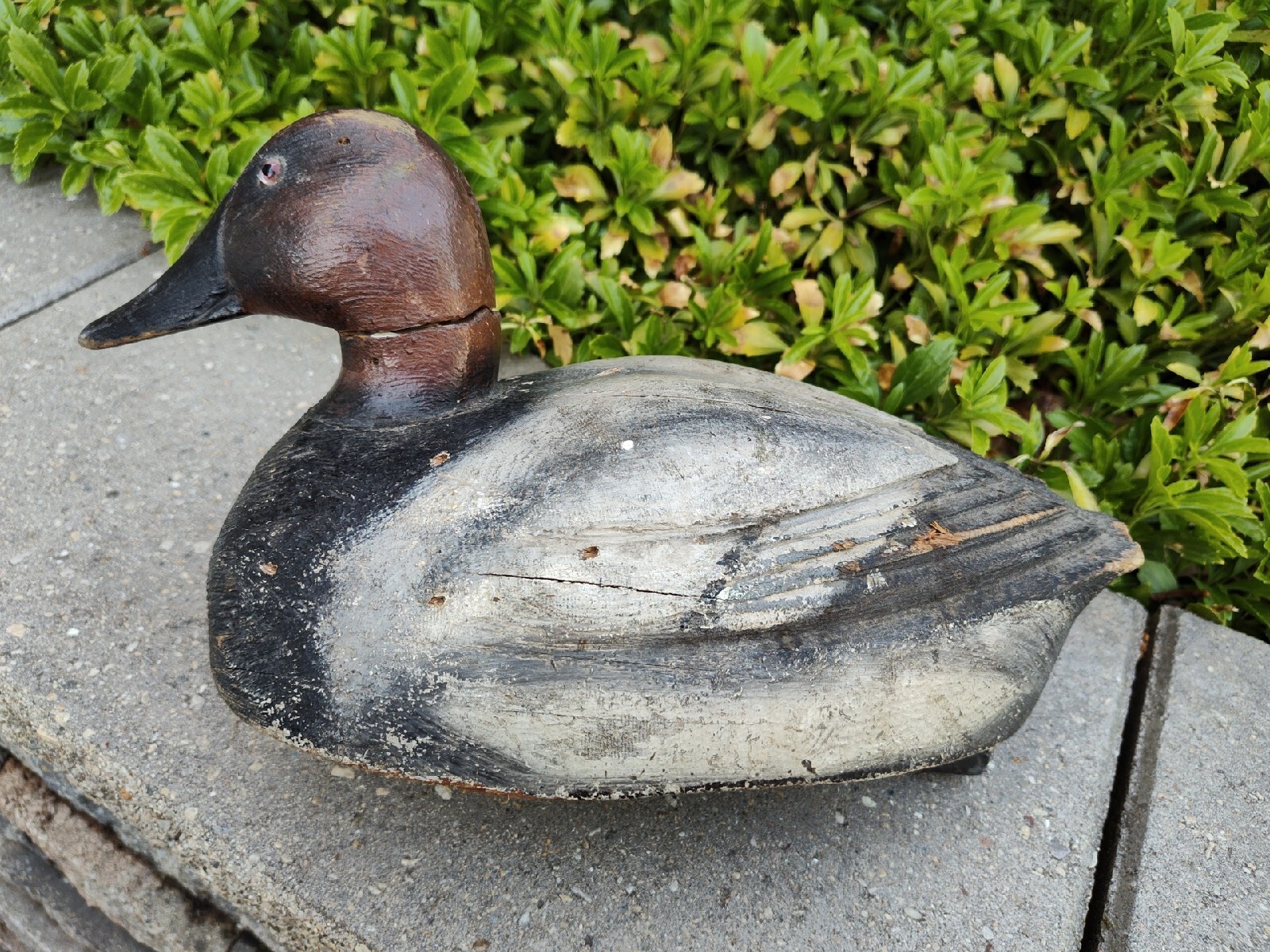 Ben Schmidt or John Kalash Carved Canvasback Drake Duck Decoy Very Rare