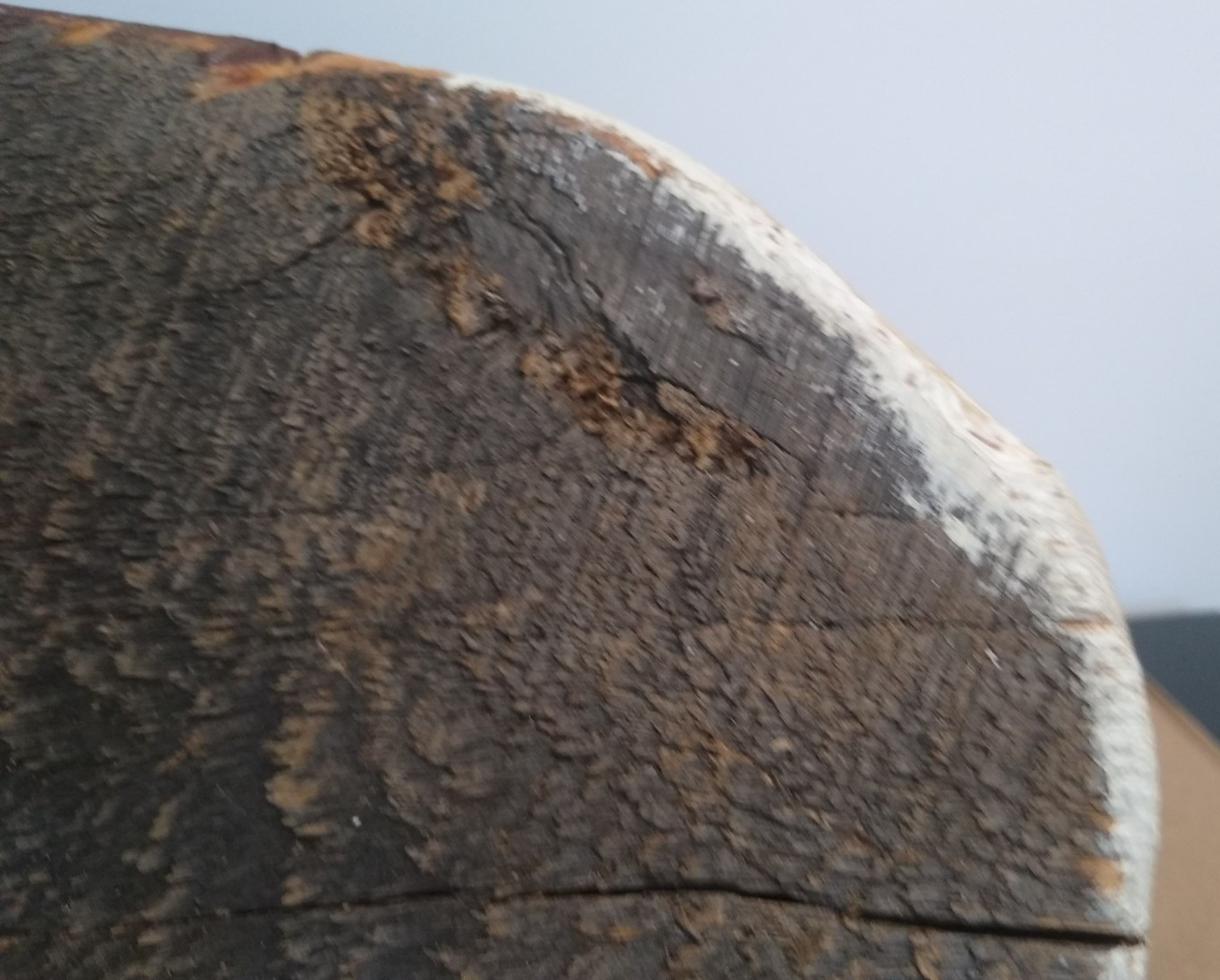 Carved Wooden Canada Goose Decoy